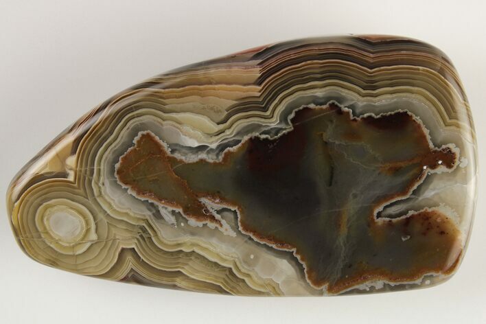 Polished Crazy Lace Agate - Mexico #194132